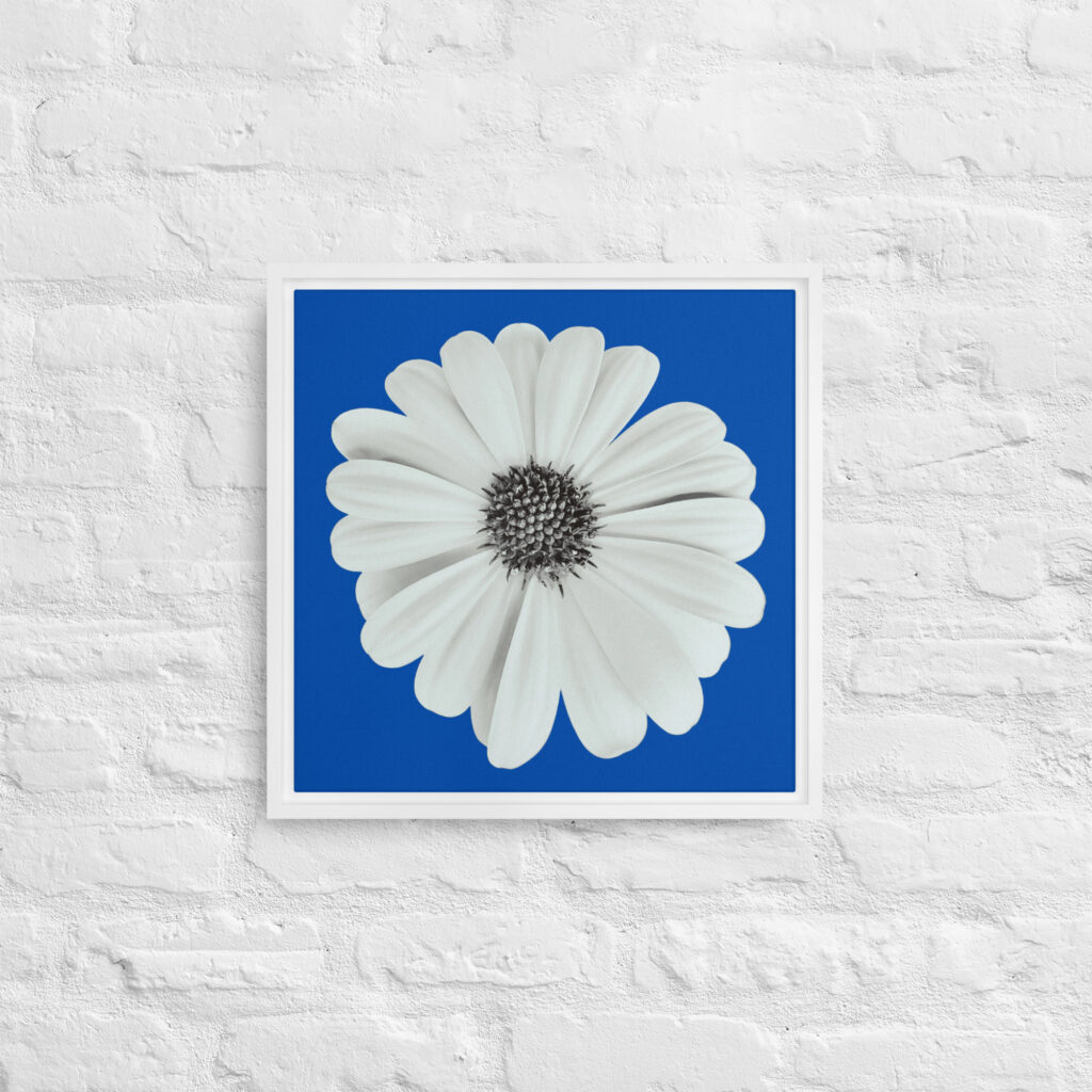 Love Me Love Me Not by Enrique Aldana | Framed canvas