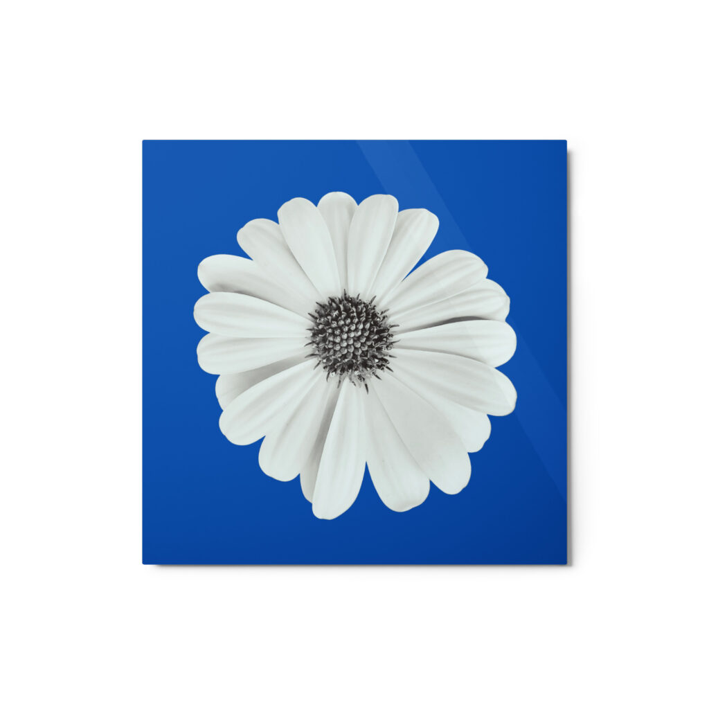 Loves Me Loves Me Not by Enrique Aldana | Metal prints