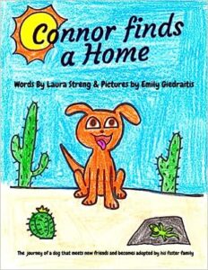 Connor Finds A Home by Laura Streng - Book Cover