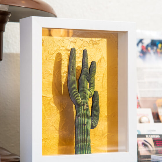 Saguaro by Casey James