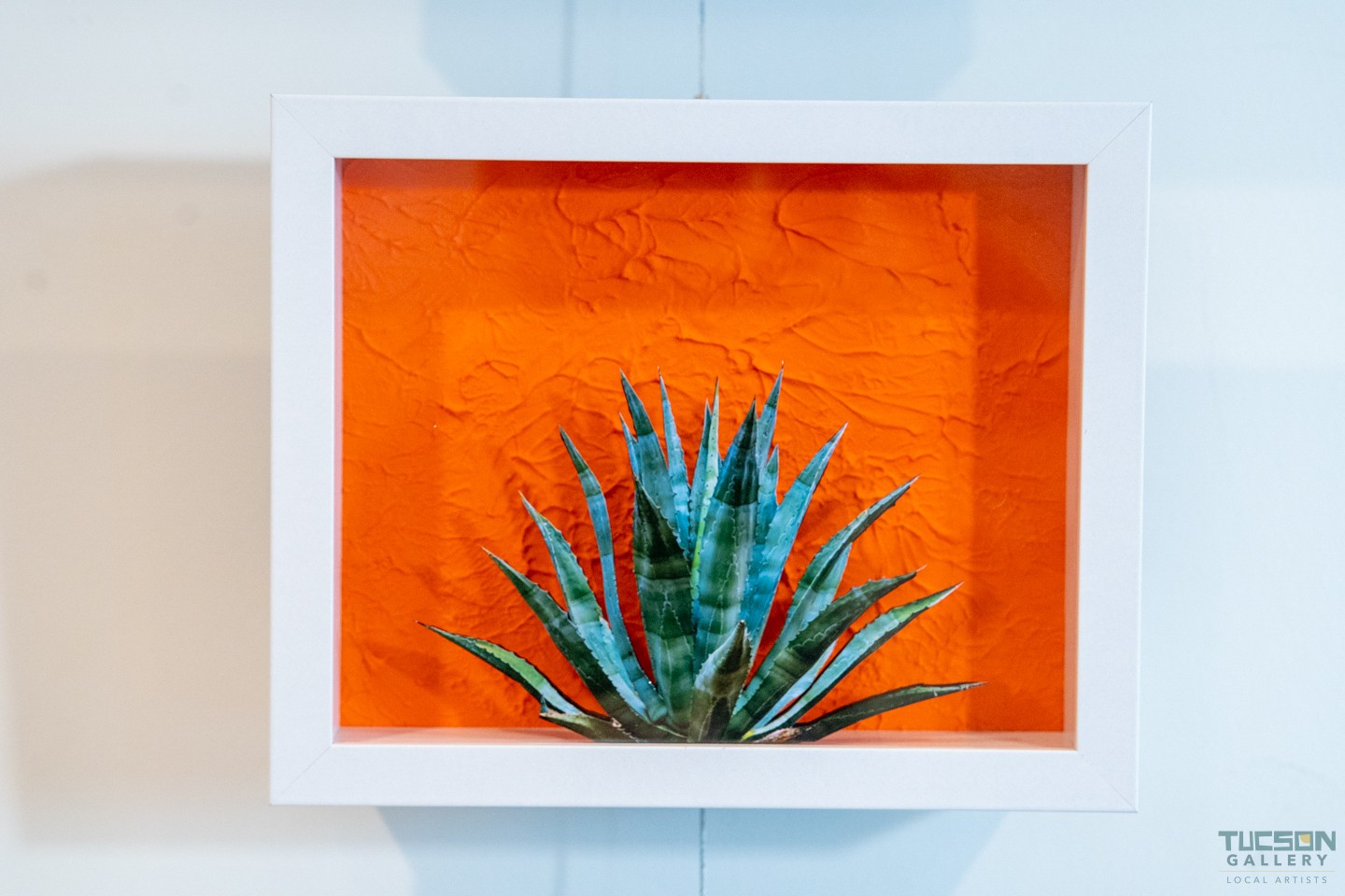 Agave - The Tucson Gallery