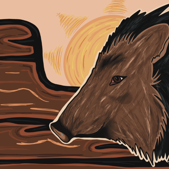 Javelina by Darby Hunter