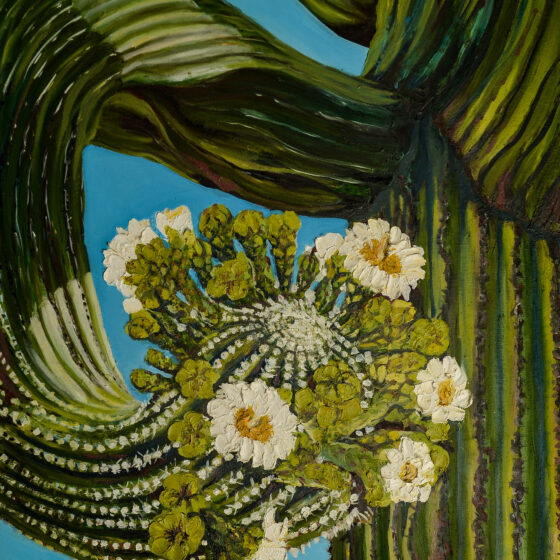 Twisted Saguaro by Andrea Rodriguez