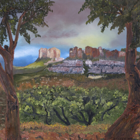 Sedona by Steven Bye