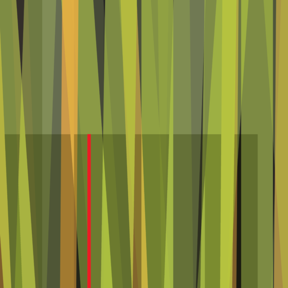 Piano Grass by Damon Leverett