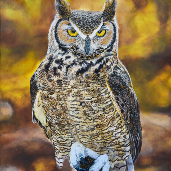 Unamused by Courtney Christie