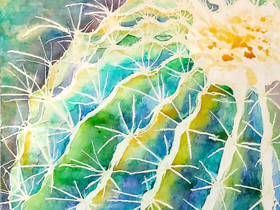 Mutilated Cactus by Lara Somers