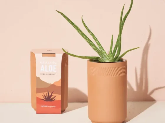Grow-Your-Own Aloe Vera Hydro Grow Kit