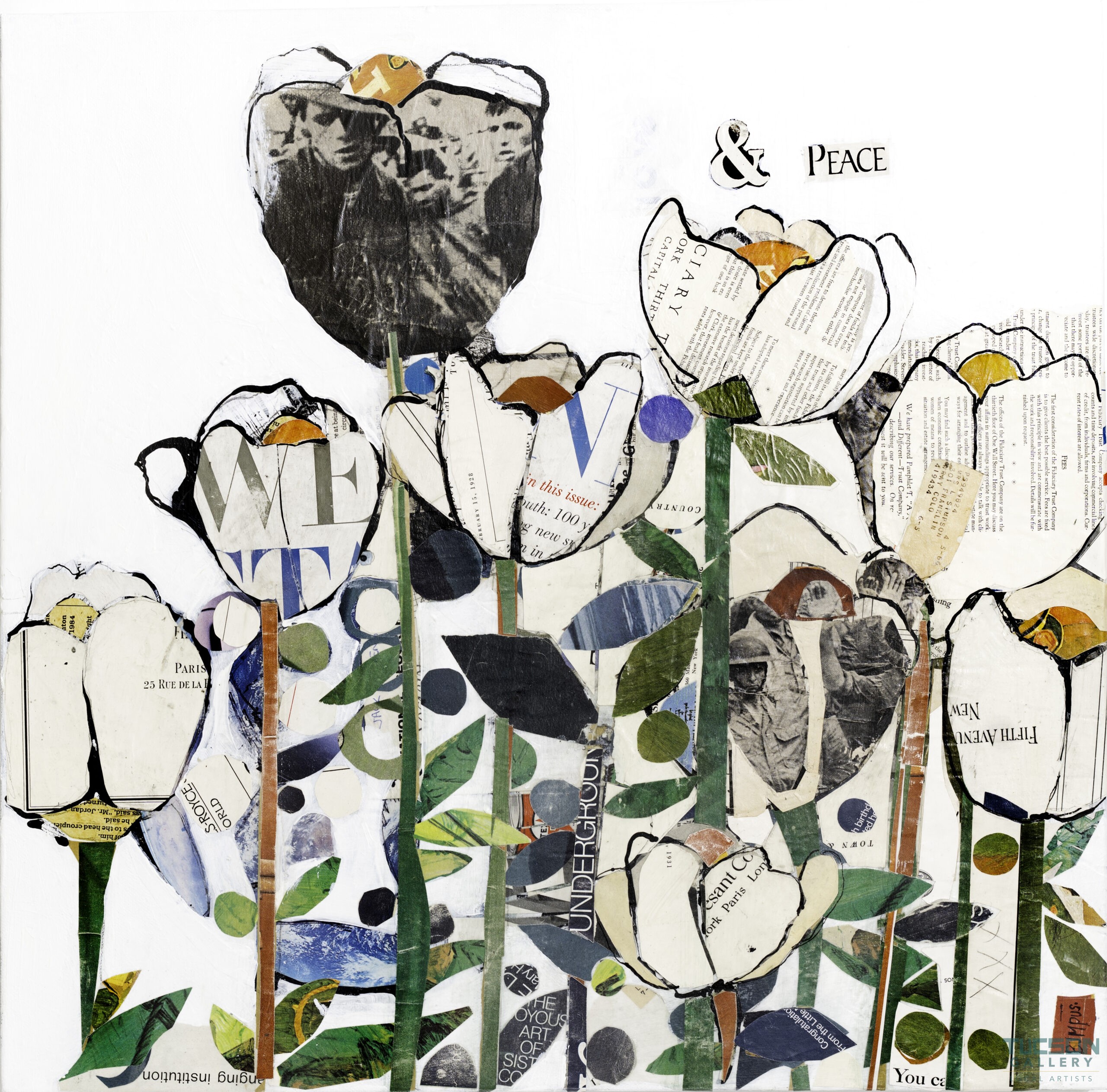 White Poppies by Amy Bumpus