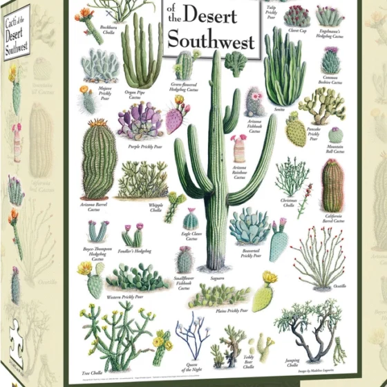 Cacti Puzzle from Tucson Gallery featuring iconic desert cacti, a perfect AZ souvenir and gift.