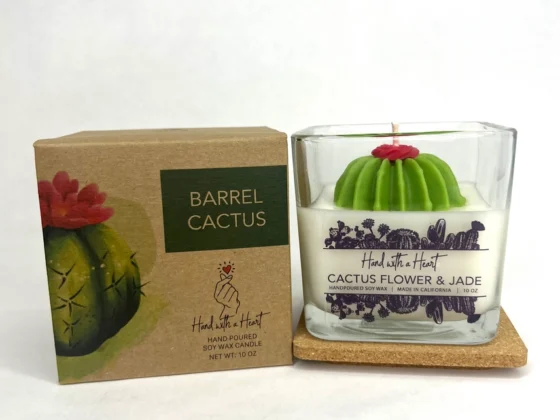 Soy barrel cactus candle with decorative box, available at Tucson Gallery, a stunning art-inspired gift.