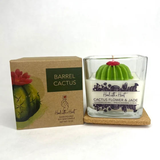 Soy barrel cactus candle with decorative box, available at Tucson Gallery, a stunning art-inspired gift.