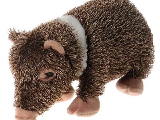 Javi the stuffed javelina from Tucson Gallery, a perfect AZ-inspired art gift and souvenir.