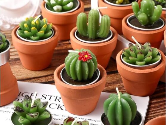 tea light cactus candles $1.10 ea Sell $5 ea