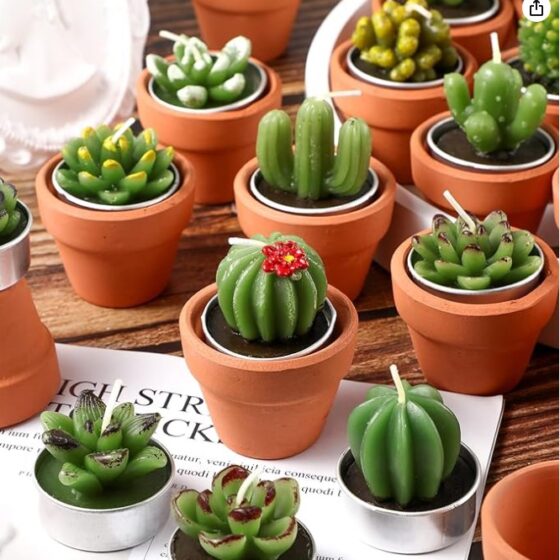 tea light cactus candles $1.10 ea Sell $5 ea