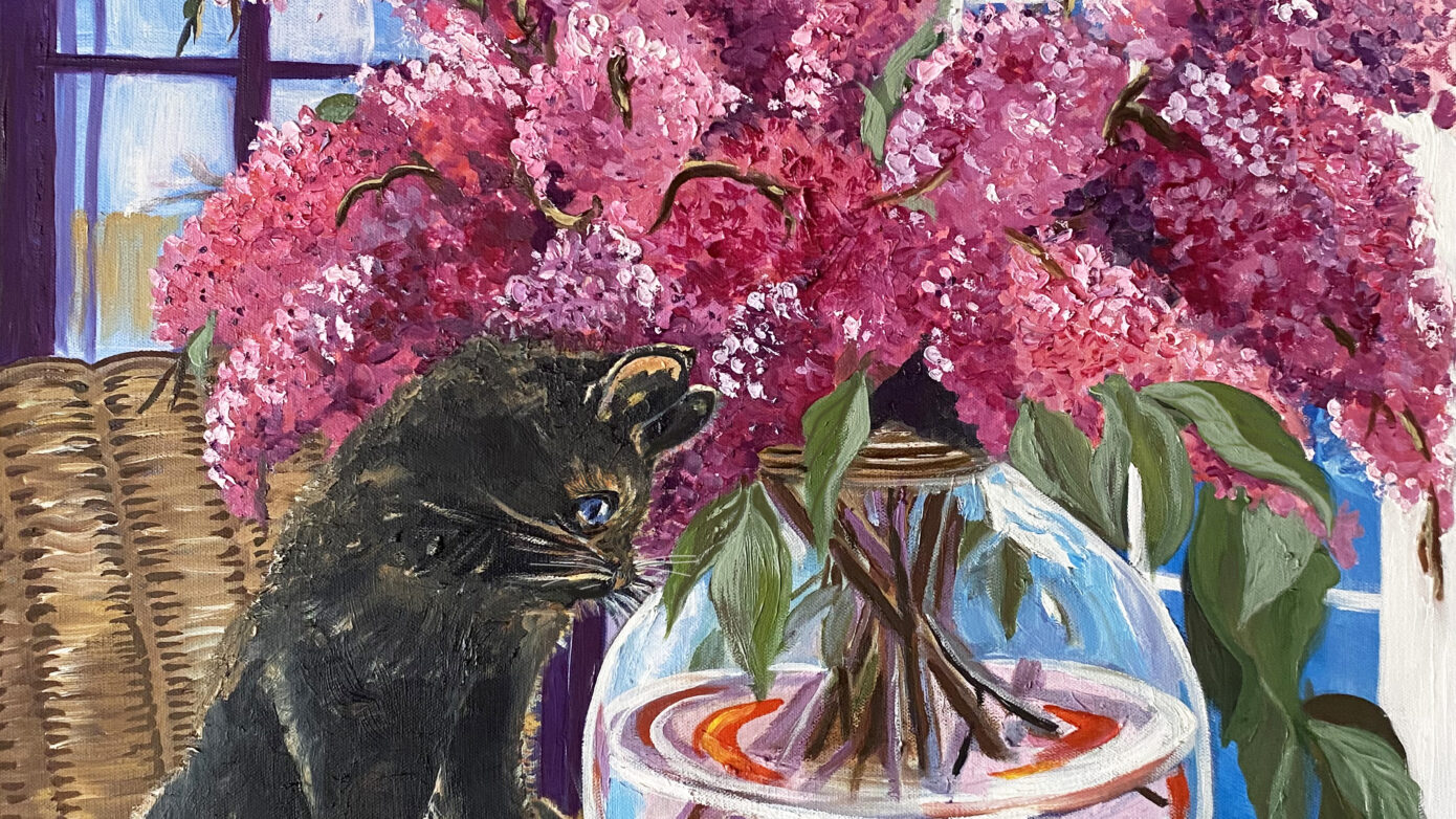 Cat and Fish