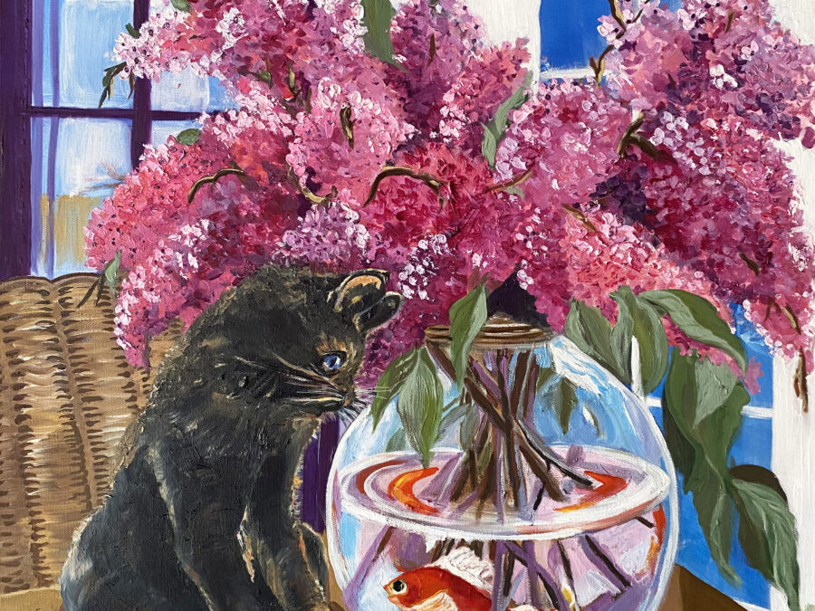 Cat and Fish