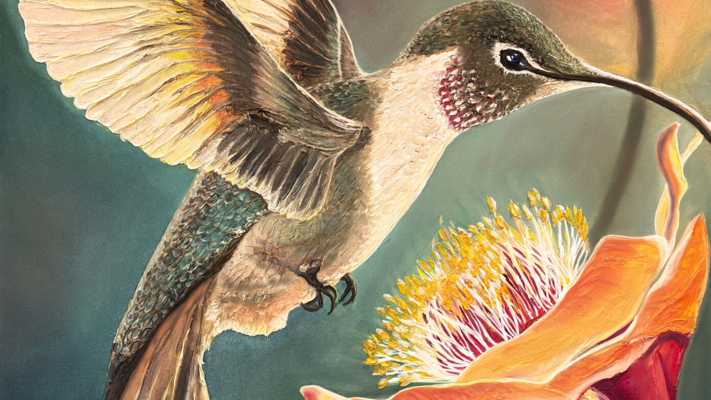 Hummingbird