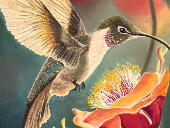 Hummingbird