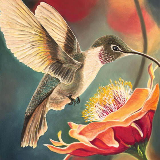 Hummingbird