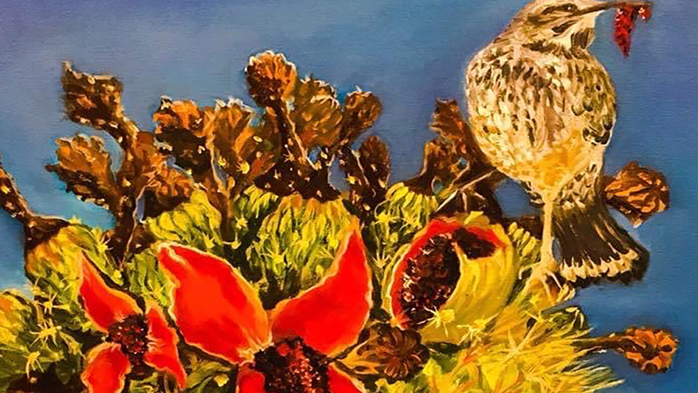 Saguaro Fruit and Bird
