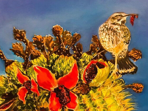 Saguaro Fruit and Bird