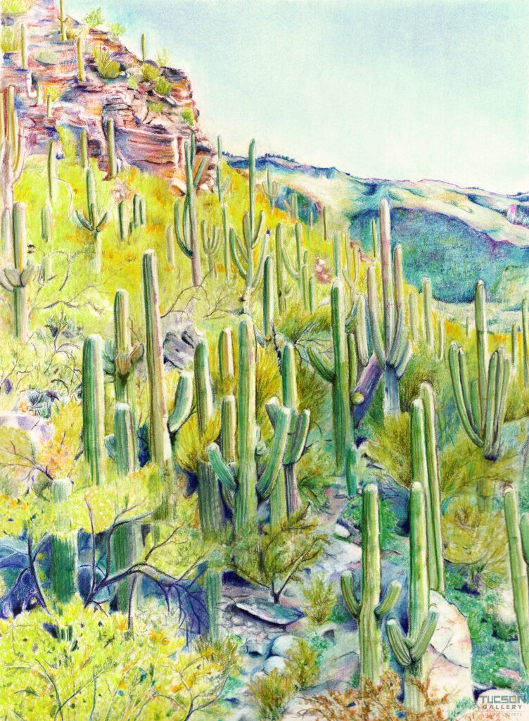 Sabino2 by Amber Pierson