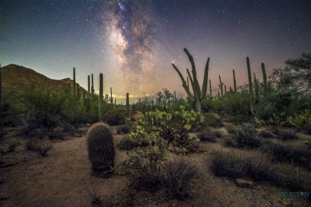 Saguaro National Park Skies by Sean Parker