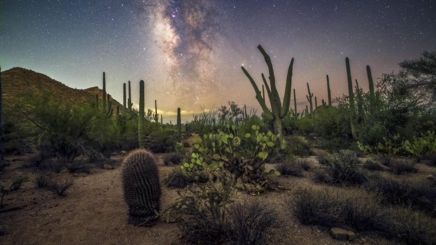 Saguaro National Park Skies by Sean Parker