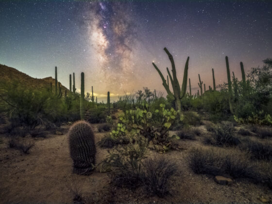 Saguaro National Park Skies by Sean Parker