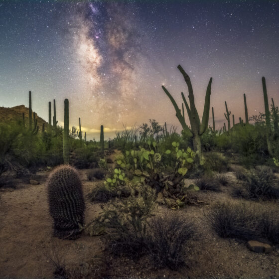 Saguaro National Park Skies by Sean Parker