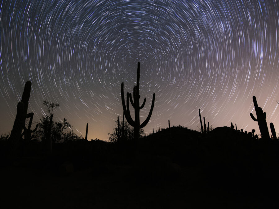 Saguaro National Park Startrails