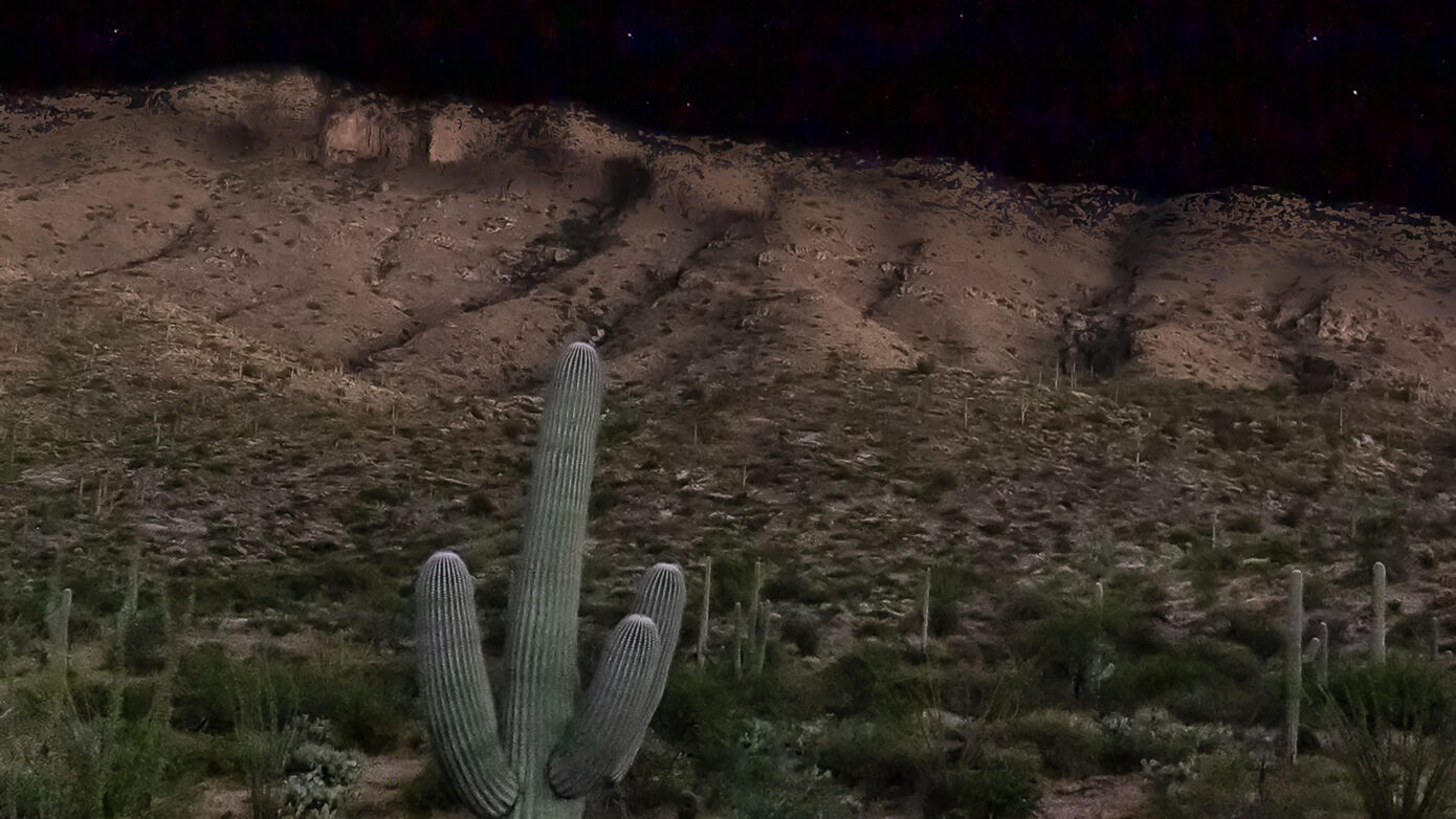 Blood Moon Over the Saguaro by Leslie Wells