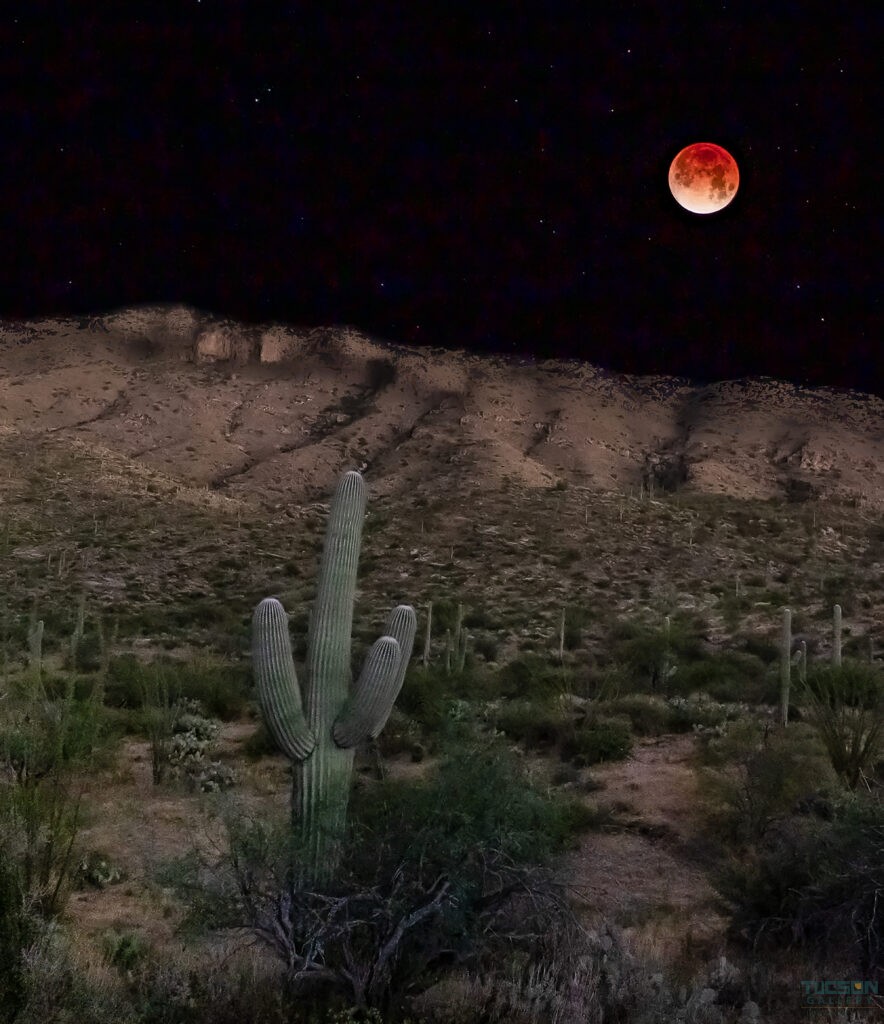 Blood Moon Over the Saguaro by Leslie Wells