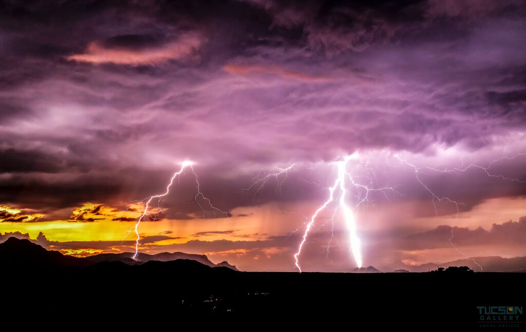 Summer Monsoon by Leslie Wells