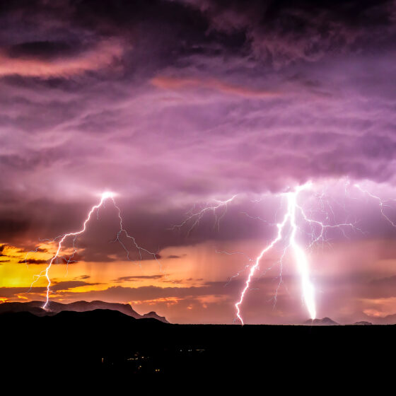 Summer Monsoon by Leslie Wells