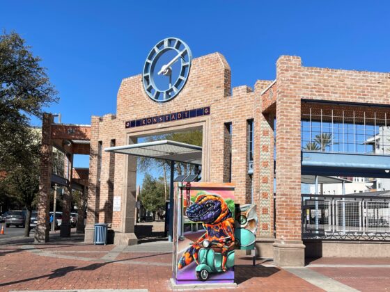 Wrapped utility box art by Pen Macias near the Ronstadt Transit Center in Downtown Tucson